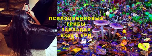 спайс Няндома