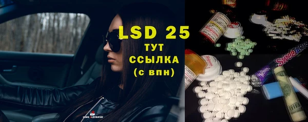 спайс Няндома