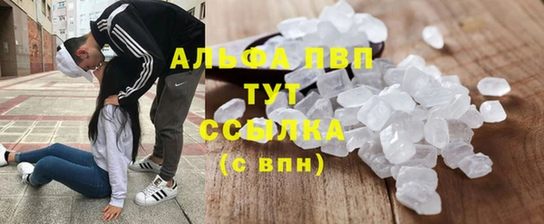 спайс Няндома