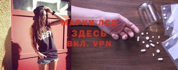спайс Няндома