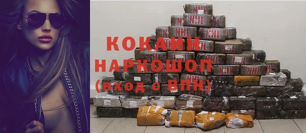 спайс Няндома
