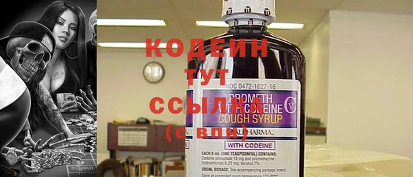спайс Няндома